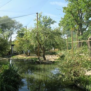 Marsh aviaray - oct 2023