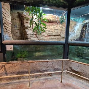 2024-05-15-vilas-aviary-large-habitat-01