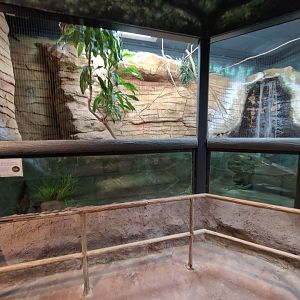 2024-05-15-vilas-aviary-large-habitat-02