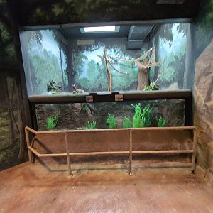 2024-05-15-vilas-aviary-small-habitat-01