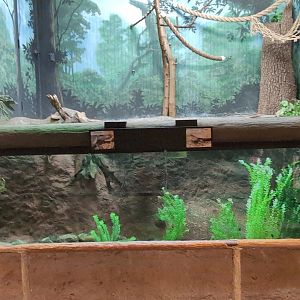 2024-05-15-vilas-aviary-small-habitat-02