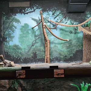 2024-05-15-vilas-aviary-small-habitat-03