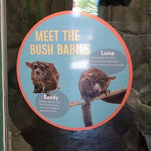 2024-05-15-vilas-galago-signage-01