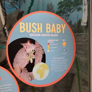 2024-05-15-vilas-galago-signage-02