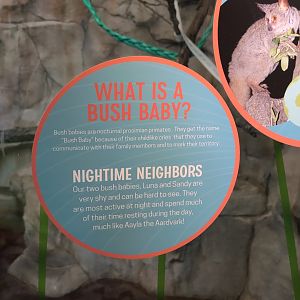 2024-05-15-vilas-galago-signage-03