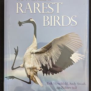 The World's Rarest Birds