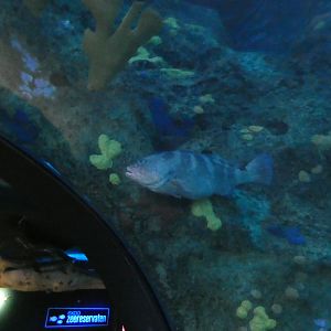 ID? - Rotterdam Blijdorp