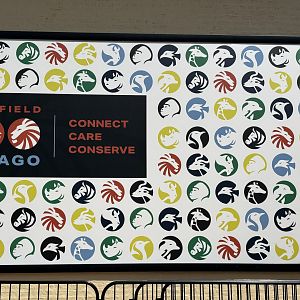 New Zoo “Poster” By Cafe Del Sol