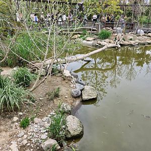Otter habitat