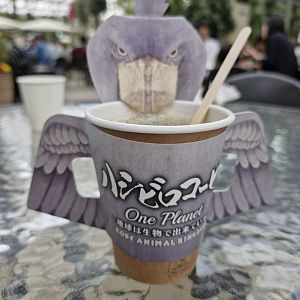 Shoebill stork cup surround