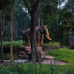 Chawang - Bull Elephant Lookout