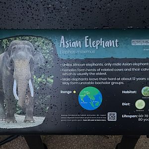 Signboard 1 - Bull Elephant Lookout