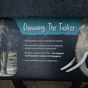 Signboard 2 - Bull Elephant Lookout