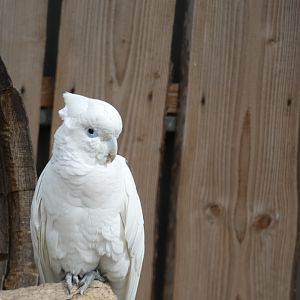 ID? - Zoo Veldhoven