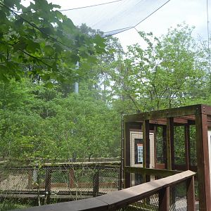 Maryland Wilderness - Marsh Aviary
