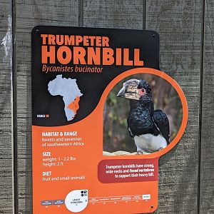 New Trumpeter Hornbill signage
