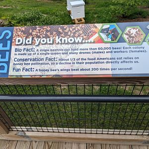 New Beehive signage by the Pygmy Hippo exhibit