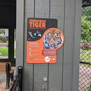 New Sumatran Tiger signage