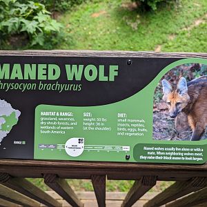 New Maned Wolf signage