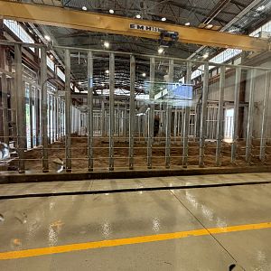 Indoor African Elephant