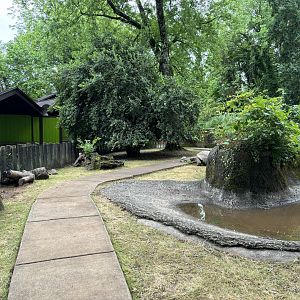 Tortoise Trail Feeding Experience
