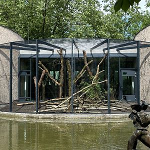 Outdoor Cottontop Tamarin Enclosure Construction