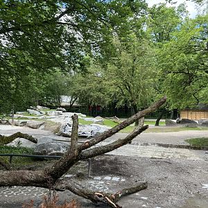 Mismi Takin Enclosure Construction