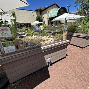 Native Turtle Exhibits