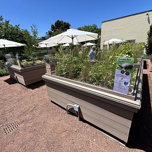 Native Turtle Exhibits
