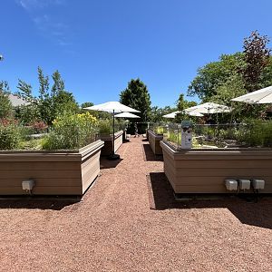 Native Turtle Exhibits