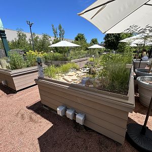 Native Turtle Exhibits