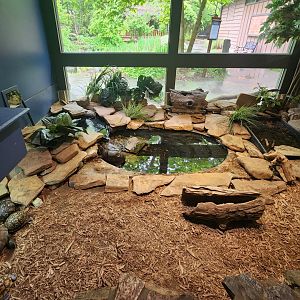 Lake Erie S&NC - Turtle pond