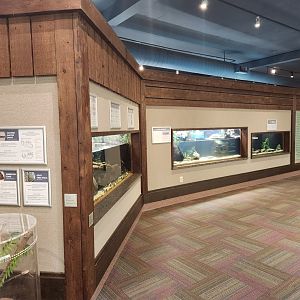 Lake Erie S&NC - Lake Erie aquatic exhibits