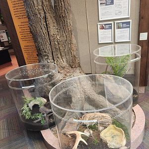 Lake Erie S&NC - Some herp enclosures