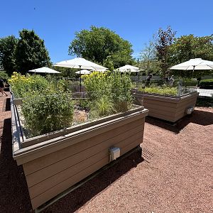 Native Turtle Exhibits
