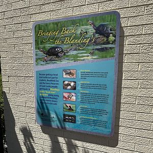 Blanding’s Turtle Signage