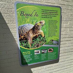 Box Turtle Signage