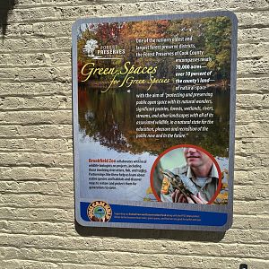 Turtle Conservation Signage