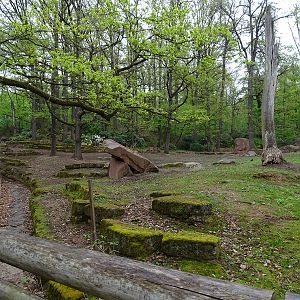 Bharal (Blue sheep) enclosure