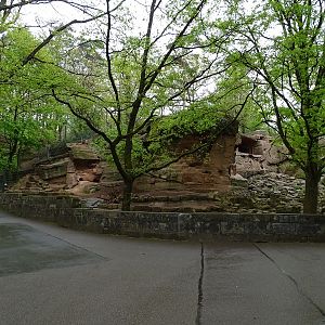 Alpine ibex enclosure