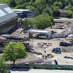 Tropical Forests Construction Progress (May 2024)