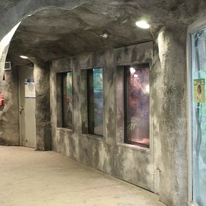 Toucan Ridge wall exhibit