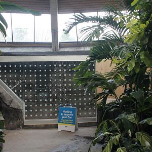 Toucan Ridge habitat under construction