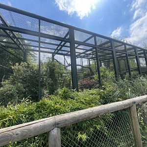 Black Lemur Exhibit: