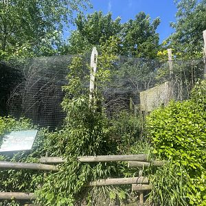 Prevost’s Squirrel Exhibit: