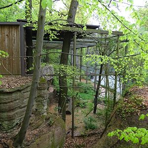 Top view of large wader aviary.