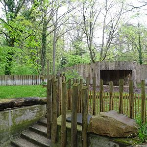 Malayan tapir outdoor enclosure (Tapir House)