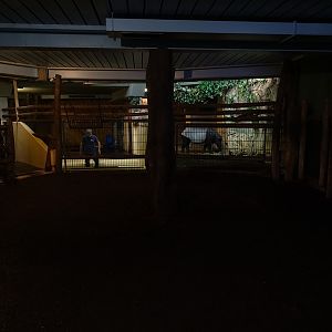 Tapir House: indoor enclosure for Malayan tapir