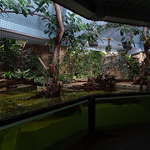 Tapir House: duck/fish enclosure (former manatee pool)