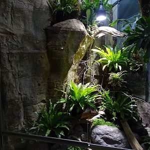 Tapir House: Terrarium for crocodile lizards